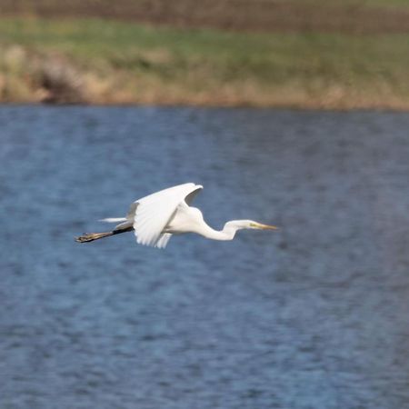 Nature Center Udoli Volavek II Bezdružice Zewnętrze zdjęcie