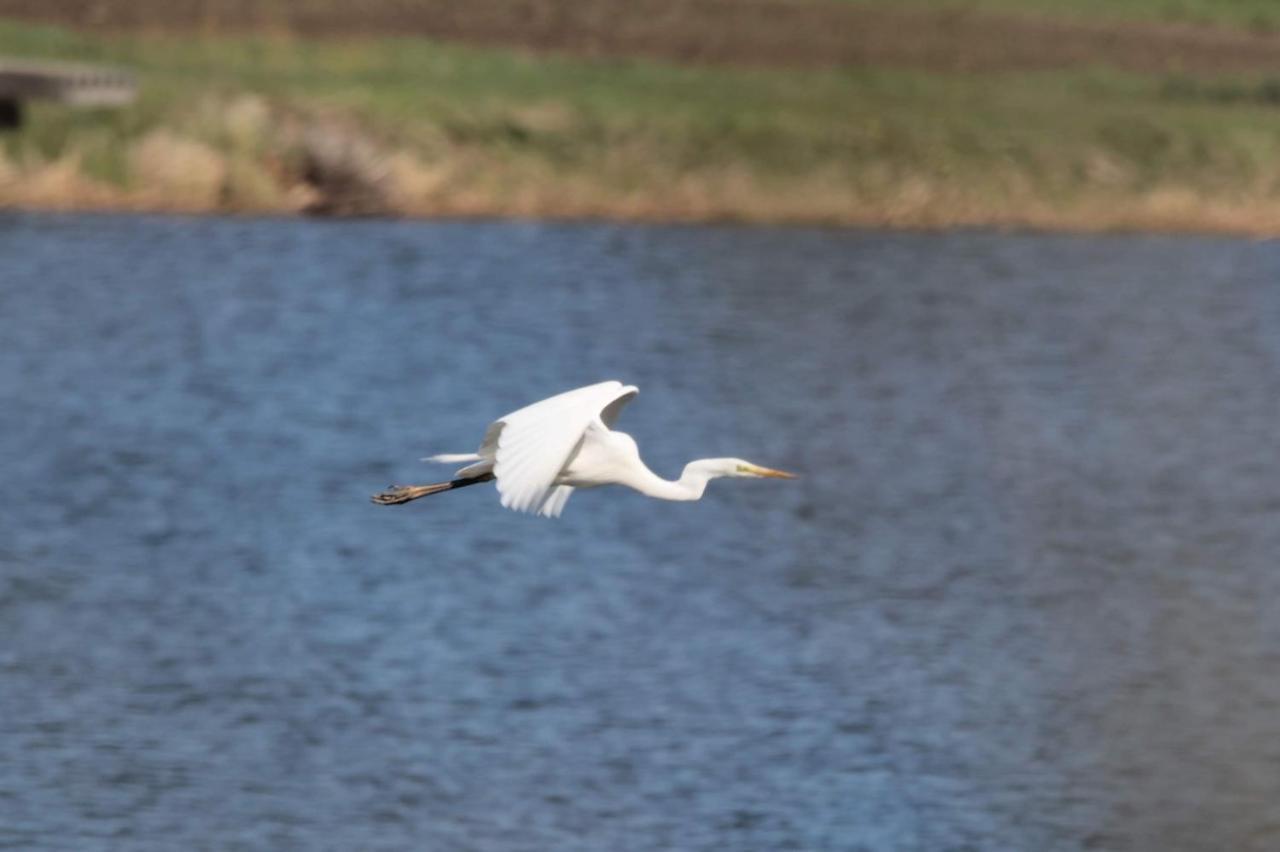 Nature Center Udoli Volavek II Bezdružice Zewnętrze zdjęcie